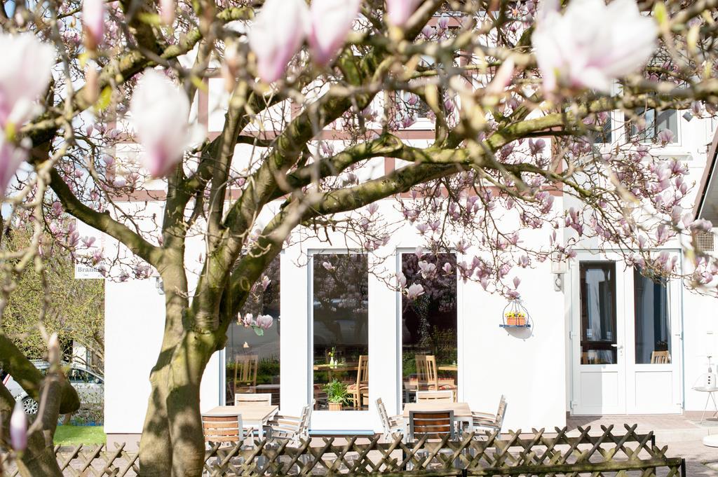 Hotel & Restaurant - Gasthaus Brandner Trendelburg Eksteriør billede